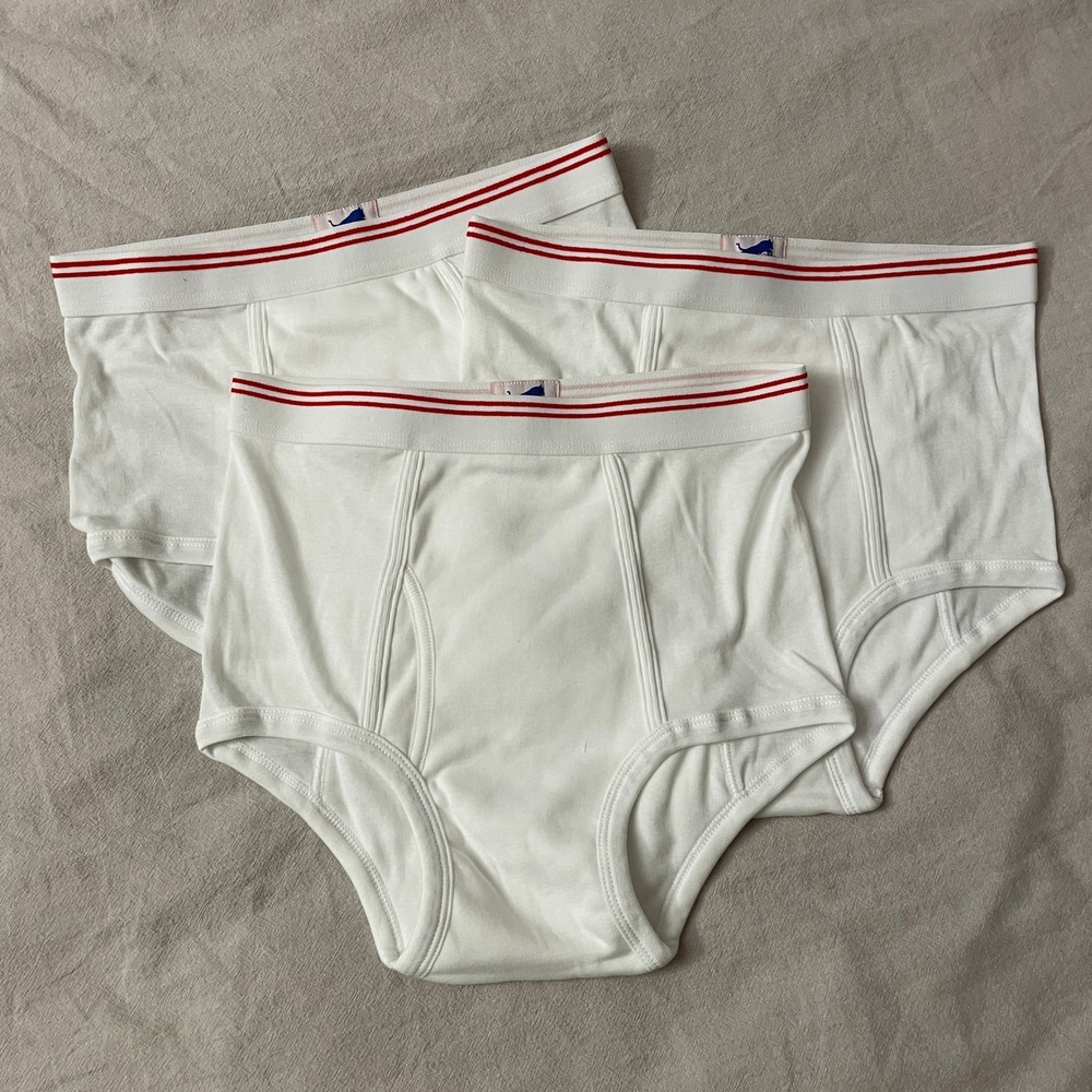 Vintage 3 Pack Tiger Briefs Mens 32-34 White Red Striped Waistband Deadstock NEW